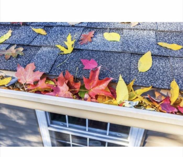 Roof of house, gutters filled with fall leaves 