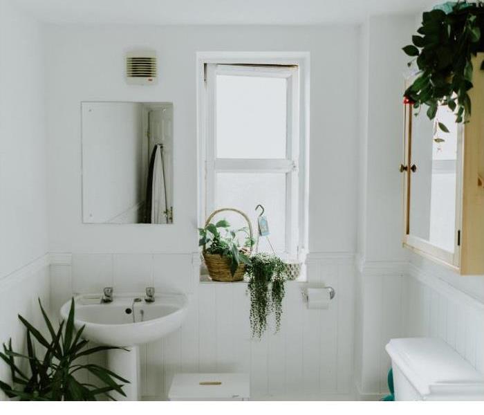 Bathroom with black and white flooring with white toilet, white sink, mirror cabinet, window, and green plants