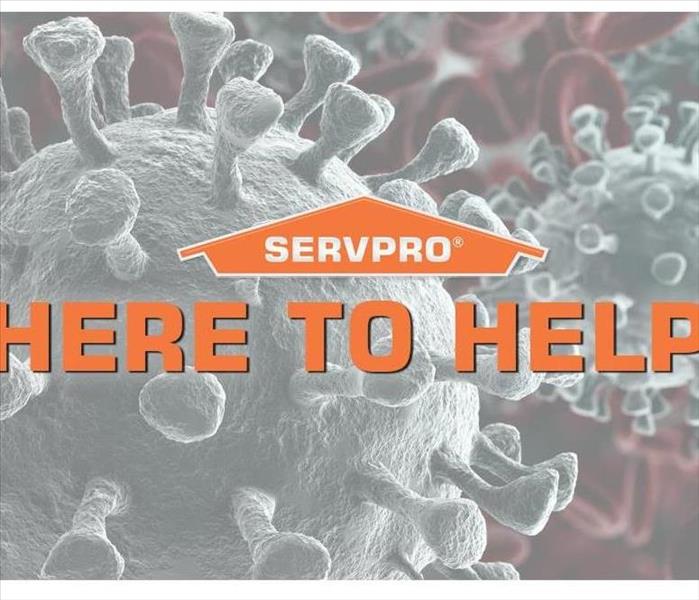 grey viruses in molecule form with a purplish/burgundy background and SERVPRO logo